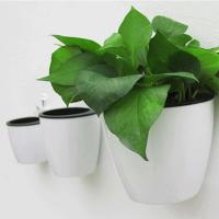 Planta de plástico montada creativa absorción de agua automática ETA, decoración de pared pequeña ETA - details 2