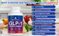 GLP-1 Supplement Support