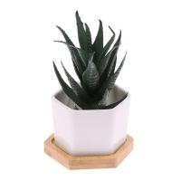 Maceta de cerámica hexagonal blanca con bandeja, maceta Europea Simple, contenedor de plantas suculentas, macetas pequeñas para bonsái - details 6