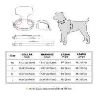 Collar personalizado perros pequeños y grandes, arnés transpirable con grabado Floral, bolsa para golosinas, 3 o 4 unidades - details 2