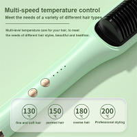 Peine de Aire Caliente Multifuncional Estilizador de Cabello Recto yrizo Certificado CE - details 4