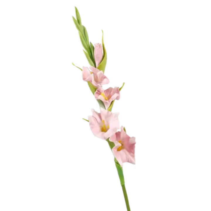 Ramas de gladiolo artificiales de PU, arte Floral, simulación de tacto Real, flor de gladiolo, flores falsas hechas a mano, decoración para el hogar y la Oficina - 1