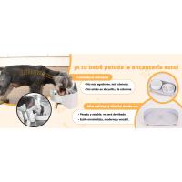 Tazón para mascotas