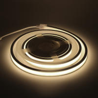 Tira de luces LED COB de 5V, cinta de neón Flexible de alta densidad, 320LED/m, 3000K, 4000K, 6000K, RA90, lámpara de cuerda de neón resistente al agua - details 11