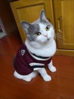 Disfraz sólido de gato para mascotas, suéter de Navidad para perros pequeños, chaleco para cachorros, chaqueta para gatitos - details 4