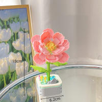 Bloques de construcción en maceta de flores eternas para niños, juego de juguetes creativos, decoración de mesa, regalo de Navidad de vacaciones - details 10