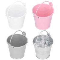 Mini hierro ETA plantas jugosas, pequeños cubos de metal para decoración interior y exterior, 10 unidades - details 5