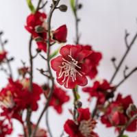 Rama de flor de melocotón Artificial de 79cm, flor de ciruelo de seda de tacto Real de plástico, flor falsa elegante para sala de estar y escritorio - details 4