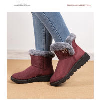 Botas de nieve para mujer, zapatos de algodón grueso de terciopelo, botas cortas versátiles de moda, novedad de otoño e invierno 2024 - details 15
