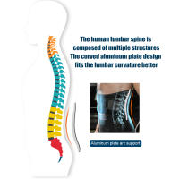 Cinturón de entrenamiento de cintura para Hombre y mujer, corsé Lumbar transpirable para soporte de columna vertebral, nuevo - details 14