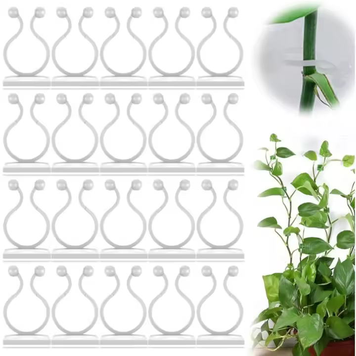 Clips De Fijación De Pared Para Trepar Plantas, Clips De Pared Para Enredaderas De Plantas, Gancho De Soporte Para Plantas De Pared, Clips De Enredadera De Soporte De Plantas Invisibles, Gancho Autoadhesivo Para Plantas Trepadoras De Interior Y Exterior - 1