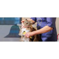 Cepillo/Peine/Rastrillo de Pelo Muerto para Perro y Gato,Reduce Eficazmente la Caída del Cabello hasta un 90% - details 0