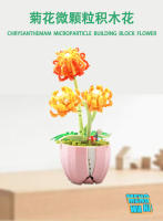Bloques de construcción DIY para niños y niñas, paquete de flores eternas, plantas en macetas, regalo de cumpleaños, juguetes educativos - details 0