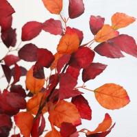 Rama de haya larga Artificial de 98cm, simulación Floral de lujo, hoja de haya de seda, plantas verdes realistas, hojas para oficina - details 7