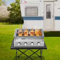 Parrilla de Gas de 4 quemadores, para barbacoa, Camping - details 2