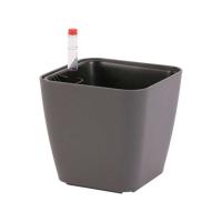Flores resistentes a la intemperie en espacios pequeños ETA, autoirrigación duradera ETA S Beauty para plantas de jardín - details 7