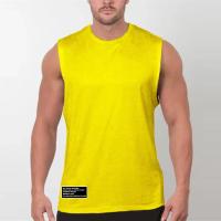 Gym Clothing Fitness Tank Tops Mens Summer Quick Dry Mesh Sports Sleeveless T Shirt Bodybuilding Singlets Running Vest - details 15