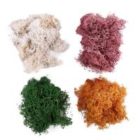 20g DIY sala de estar adornos para el hogar plantas verdes Mini paisaje decoración de jardín musgo eterno plantas artificiales - details 10