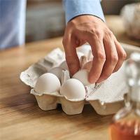 Cajas de papel para huevos de pollo, soporte de fibra de pulpa, sostiene 6 huevos a granel, granja, mercado, viaje, 40 piezas - details 6