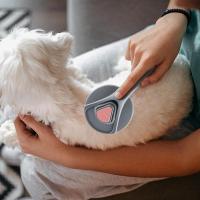 Cepillo de Aseo para Mascotas Suave Herramienta de Eliminación de Pelo Suelto - details 6