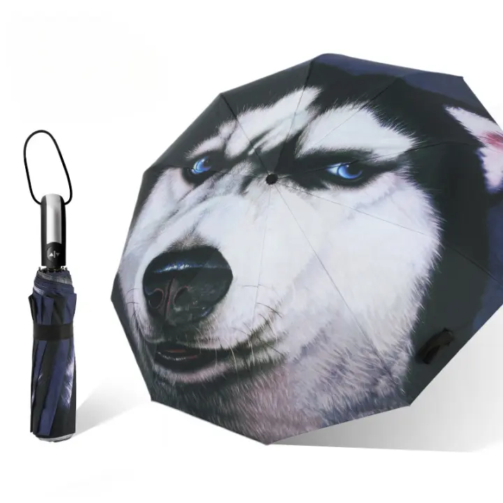 Paraguas plegables Automático Husky Antiviento｜10 Varillas + 210T｜102cm UV/Sol｜Diseño Invertido Compacto｜Regalo Hombre Original - 1