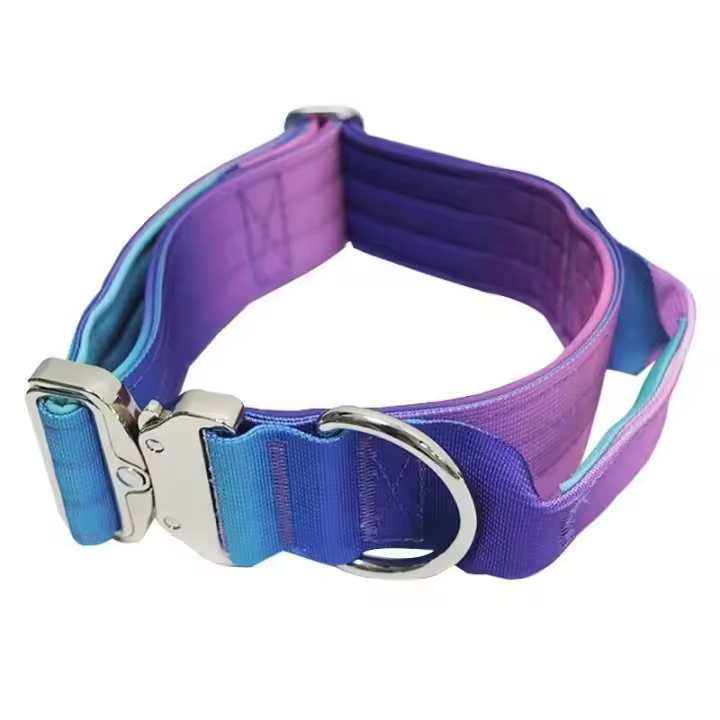 Juego Collar correa perro nailon resistente, cuerda entrenamiento mascotas ustable sin tirar con cierre Metal para caminatas de - 1