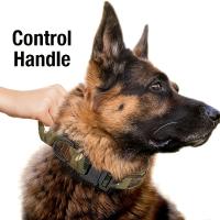 Collar Táctico Para Perros Ajustable Con Hebilla De Liberación Rápida Correa Básica De Poliéster Para Entrenamiento De Mascotas - details 0