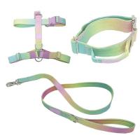 Juego Collar correa perro nailon resistente, cuerda entrenamiento mascotas ustable sin tirar con cierre Metal para caminatas de - details 16