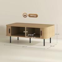 Mesa Baja de Centro para Sala de Estar Estilo Persiano con 2 Puertas 2 Compartimentos - details 2