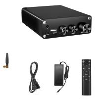 AMPLIFICADOR DE POTENCIA Digital TPA3116, dispositivo HiFi estéreo con Bluetooth 5,3, decodificador USB, 50W + 50W, enchufe estadounidense, B - details 0