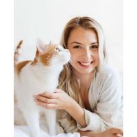 Comedero Gato Automatico
