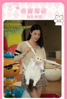Muñeca muñeca de tela de felpa juguete cumpleañera explosión de la misma mochila de gato ragdoll simulada bolsa de gato gordito - details 8