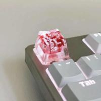 1Pcs High Quality Epoxy DIY Translucent Leaves Dry wers Paper Cross  nical Keyboard Keycap Universal Accessories - details 5