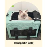 Transportin Gato