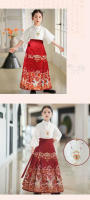 Conjunto de falda con cara de caballo para niña, estilo chino, Hanfu diario para niños, disfraz antiguo, media falda, tesoro de mujer, fino de verano - details 8