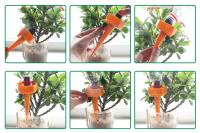 Gotero con pinchos de autorriego para plantas, equipo de riego por goteo automático ajustable, flor, vegetal, bonsái en maceta, herramienta de agua automática - details 2