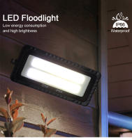 Reflector LED impermeable para exteriores, lámpara de jardín, 50W, 100W, 200W, IP66, 220V - details 0