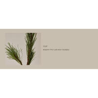perfume_Key ingredient 1