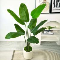 ETA para decoración del hogar, cerámica blanca plástico ETA, plantas, mesa de comedor nórdica decoración boda y dormitorio - details 9
