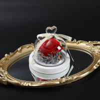 Regalo Creativo San Valentín Cumpleaños Mujeres: Rosa Eterna en Florero de Cristal para Bodas y Matrimonios - details 3