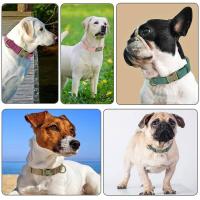perro personalizado cuero PU, Collar de cachorro personalizado, collares mascotas grabados gratis para perros pequeños, medianos - details 19
