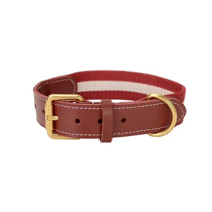 Collar ajustable de piel sintética resistente al desgaste para perros y gatos, correa para el cuello, suministro de tracción - 1