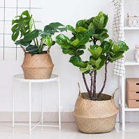 Cesta de mimbre para algas marinas, maceta colgante para flores, cesto para la ropa sucia, cesta de almacenamiento - details 0