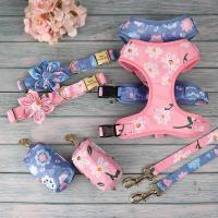Collar personalizado perros pequeños y grandes, arnés transpirable con grabado Floral, bolsa para golosinas, 3 o 4 unidades - details 5