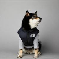 Chubasquero cálido de invierno para perros grandes, ropa de algodón para mascotas, abrigo a prueba de viento y lluvia - details 17