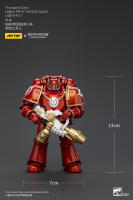 JOYTOY Figura de Acción Horus Heresy Legión de Mil Hijos del Tacticante MK IV - details 29