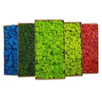 Musgo eterno, manualidades DIY, hierba, 20/40/100g, plantas verdes artificiales, decoración del hogar, habitación, jardín, mini país, hierba falsa - details 1