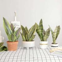 Plantas artificiales para decoración del jardín del hogar, rama de Sanseviria de plástico, bonsái DIY, plantas falsas para exteriores - details 1
