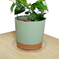 Platillo de plástico transparente para plantas, bandeja para plantas, maceta duradera y gruesa para jardín interior y exterior, 12 pulgadas, 4 paquetes - details 7