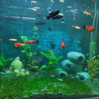 Decoraciones de Acuario de Piedra de Resina Refugio de Escondite de Cueva para Peces 5 Opciones - details 2
